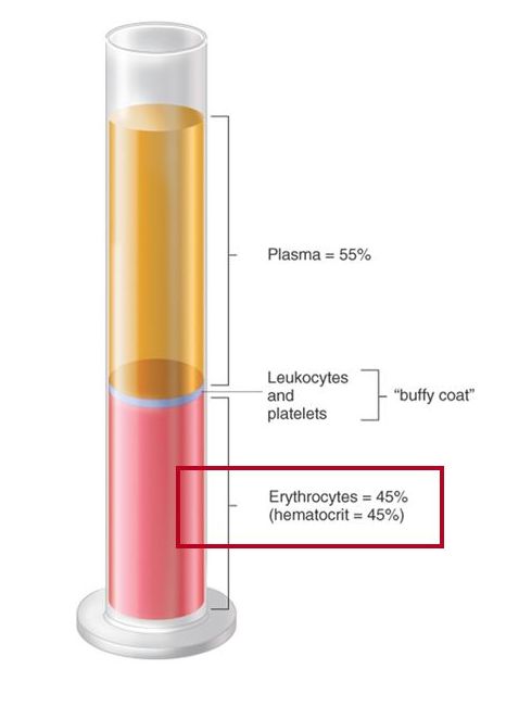 Hematocrit (HCT) %, L/L, Proportion of 1.0, volume fraction 